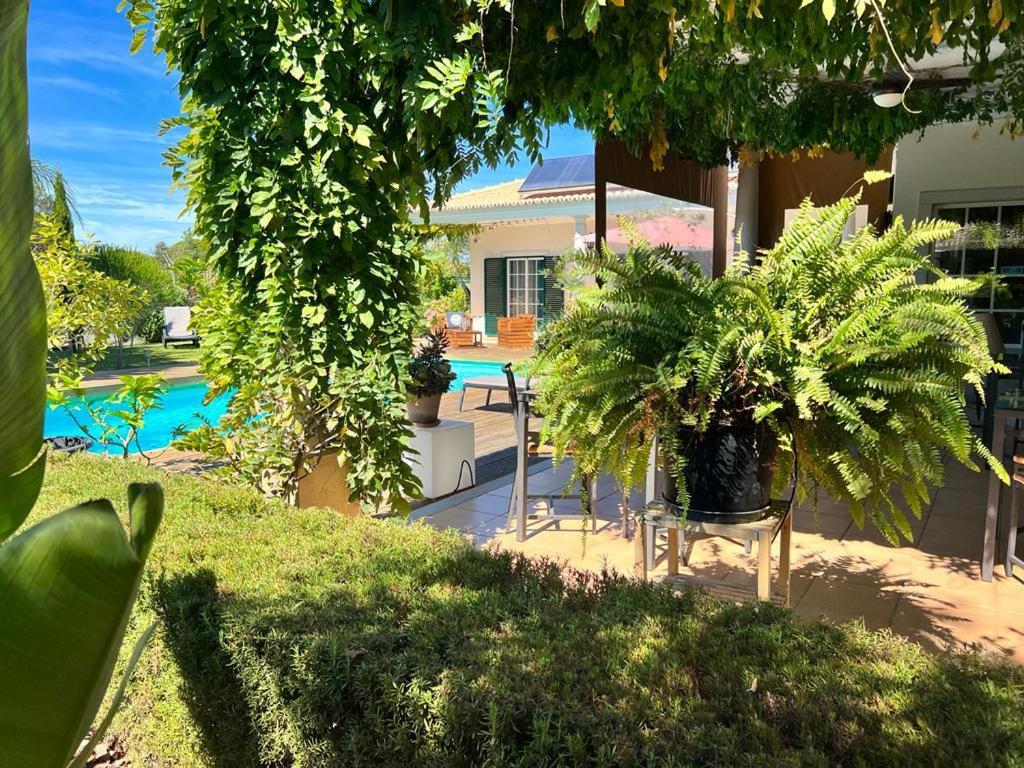 Buganvilias Do Meco Guest House Sesimbra Exterior foto